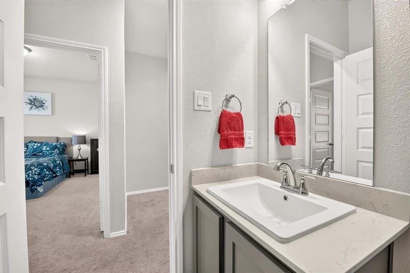 10141 Revere Drive, Providence Village TX 76227 - Photo 28