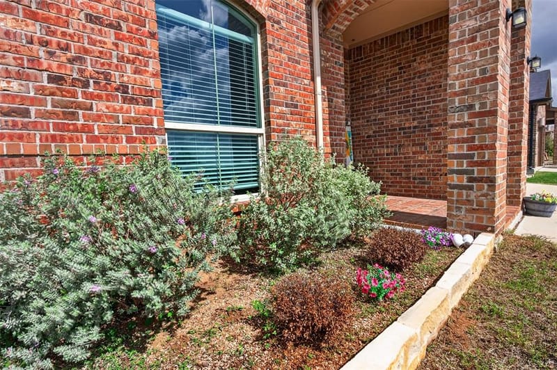 917 Doe Meadow Drive, Fort Worth TX 76028 - Photo 3