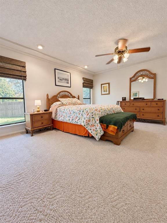 929 Reno Street, Lewisville TX 75077 - Photo 12
