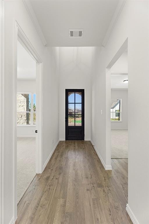 644 Blakelys Way, Fate TX 75189 - Photo 4