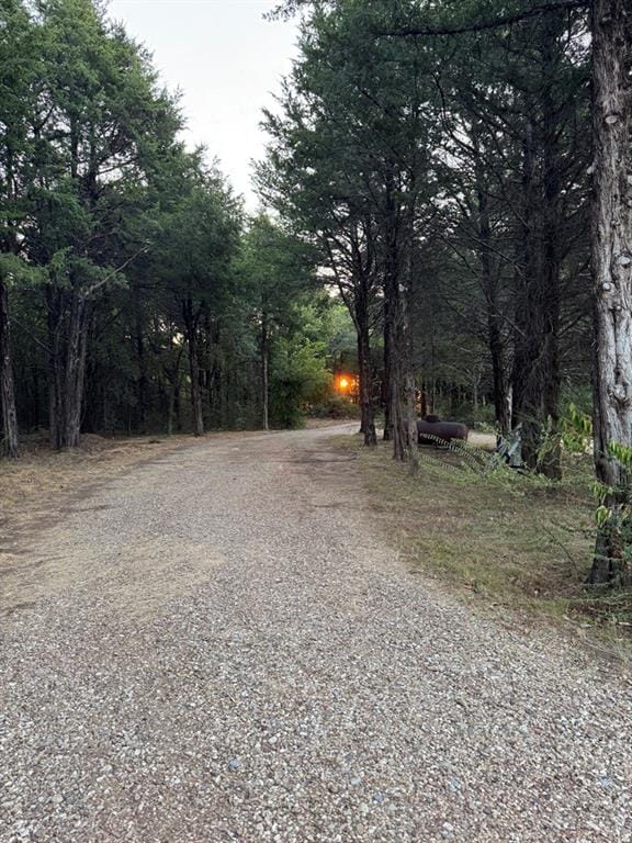 3131 Fm 1897, Bells TX 75414 - Photo 7