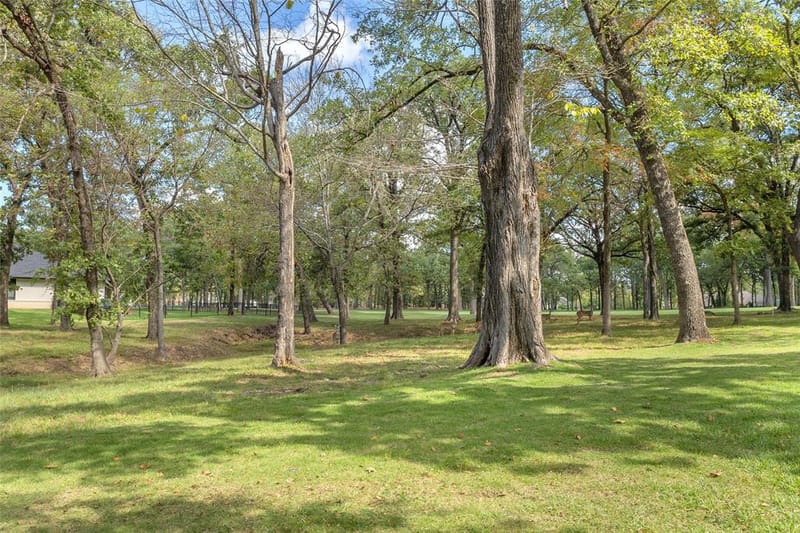 239 Colonial Drive, Mabank TX 75156 - Photo 37