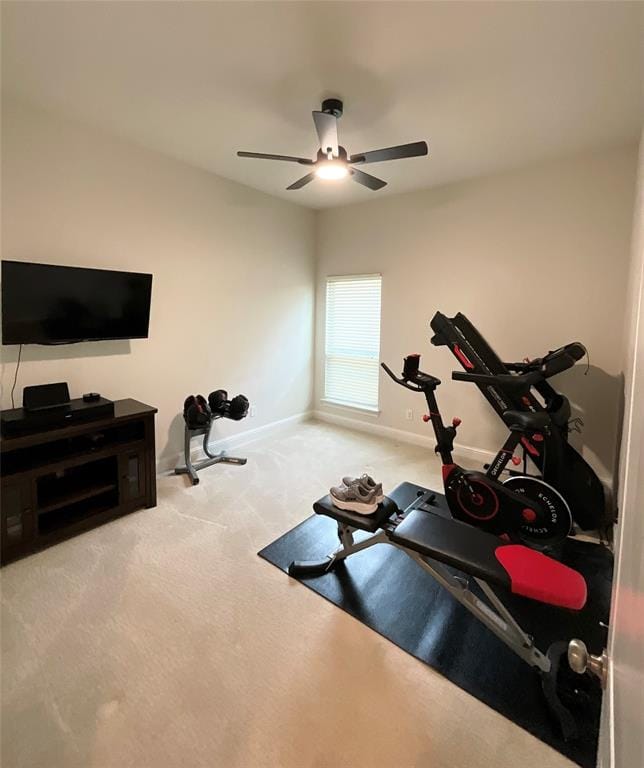 8713 Honeysuckle Drive, Argyle TX 76226 - Photo 15