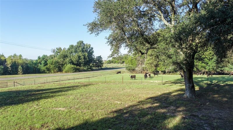2529 W Highway 11, Pittsburg TX 75686 - Photo 2