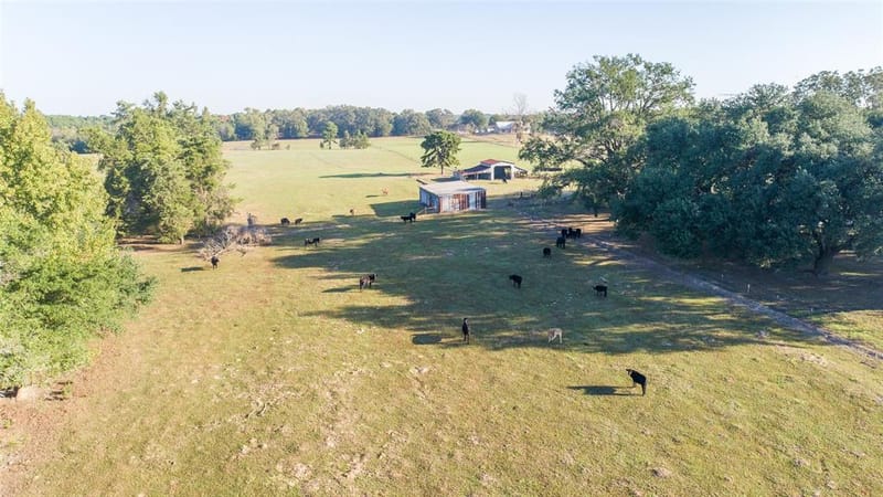 2529 W Highway 11, Pittsburg TX 75686 - Photo 7