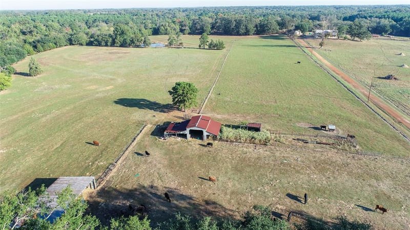 2529 W Highway 11, Pittsburg TX 75686 - Photo 30