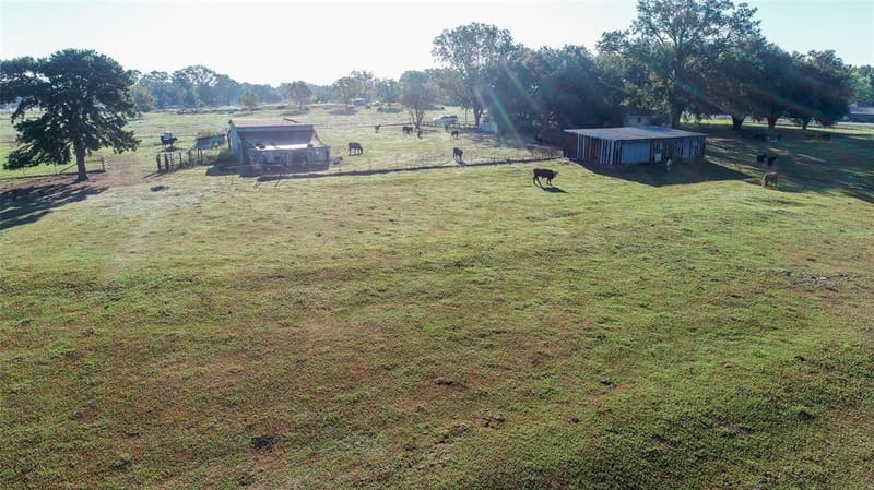 2529 W Highway 11, Pittsburg TX 75686 - Photo 34