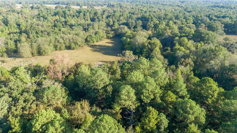 2529 W Highway 11, Pittsburg TX 75686 - Photo 10