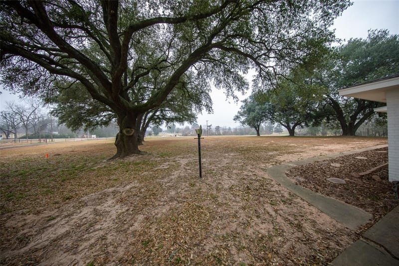 2529 W Highway 11, Pittsburg TX 75686 - Photo 11