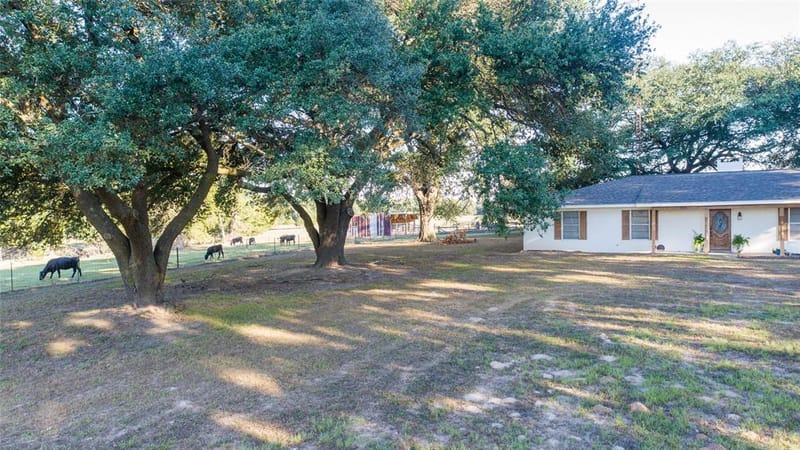 2529 W Highway 11, Pittsburg TX 75686 - Photo 29