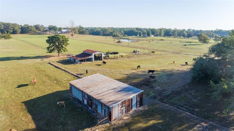 2529 W Highway 11, Pittsburg TX 75686 - Photo 4