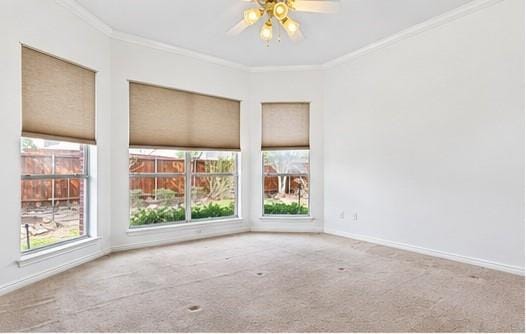 327 Hampton Court, Coppell TX 75019 - Photo 18