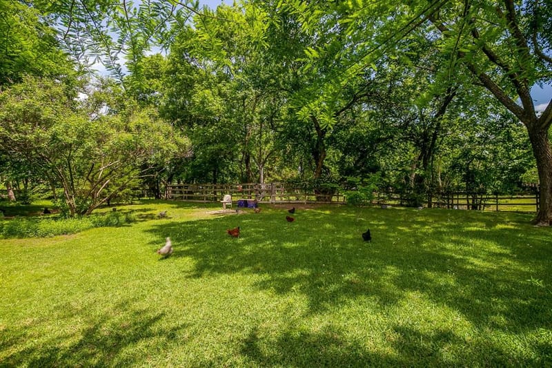 3 Glencove Circle, Lucas TX 75002 - Photo 28