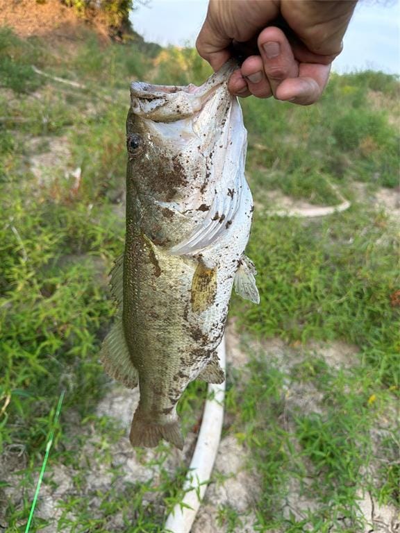 1024 RAYS Way, Weatherford TX 76085 - Photo 37