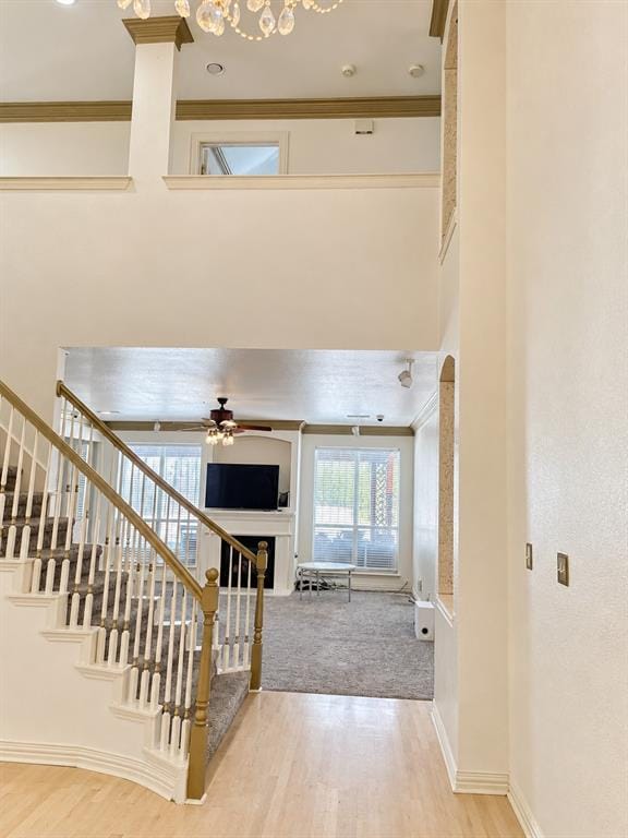 3832 Leon Drive, Carrollton TX 75010 - Photo 20