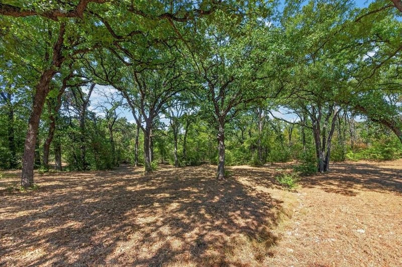 427 Cooks Lane, Fort Worth TX 76120 - Photo 22
