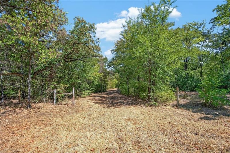 427 Cooks Lane, Fort Worth TX 76120 - Photo 15