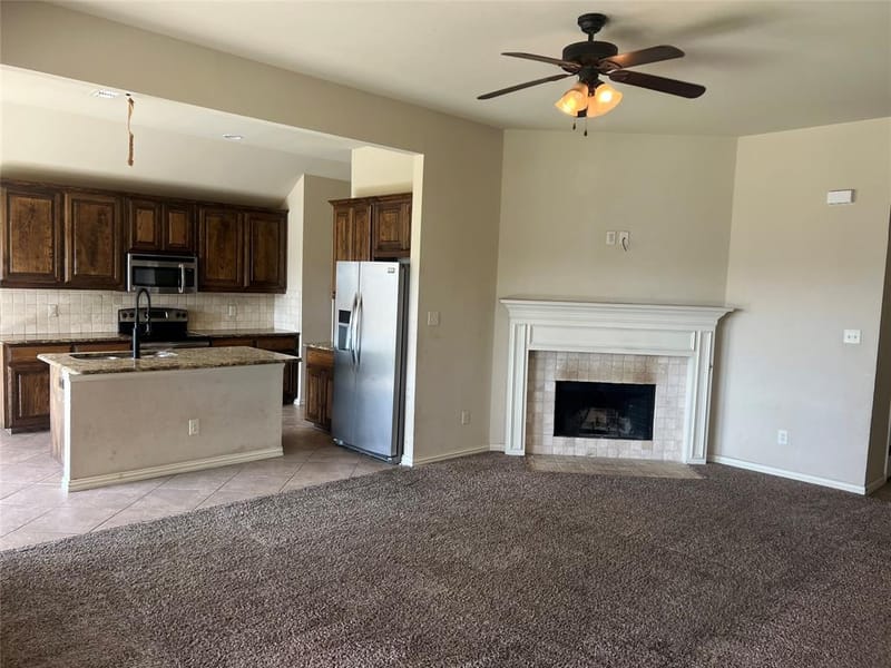 249 Cedar Crest Drive, Justin TX 76247 - Photo 3
