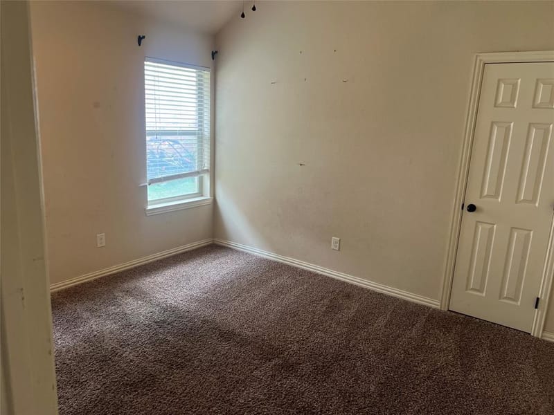 249 Cedar Crest Drive, Justin TX 76247 - Photo 10