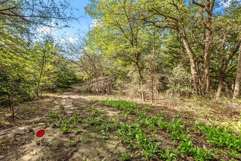 1540 Neely Trail, Valley View TX 76272 - Photo 31