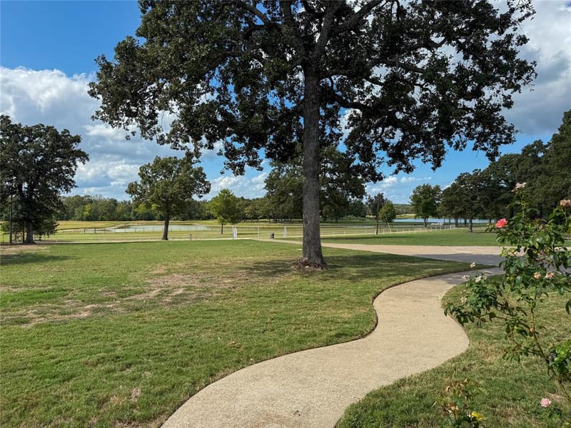 7700 County Road 3700, Athens TX 75752 - Photo 6