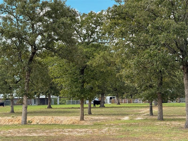 7700 County Road 3700, Athens TX 75752 - Photo 36