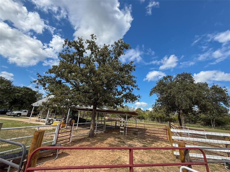 7700 County Road 3700, Athens TX 75752 - Photo 34