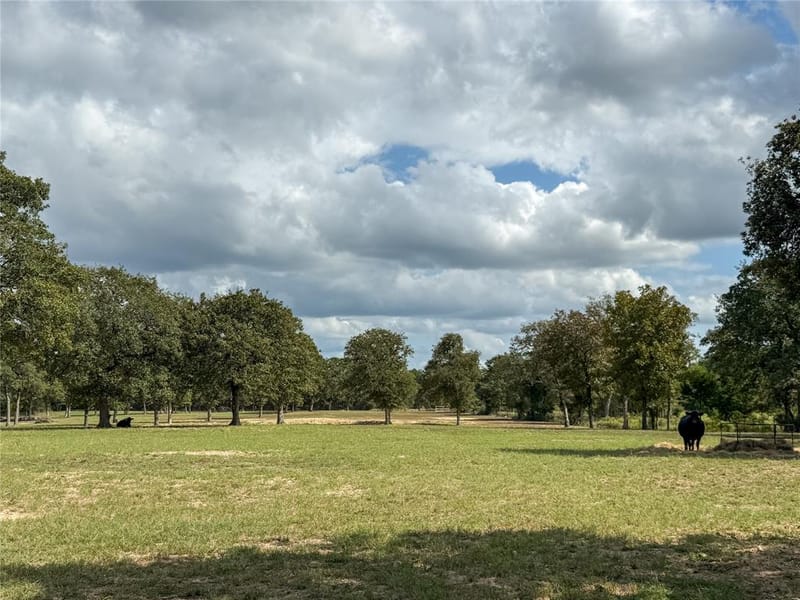 7700 County Road 3700, Athens TX 75752 - Photo 38