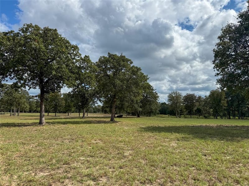7700 County Road 3700, Athens TX 75752 - Photo 40