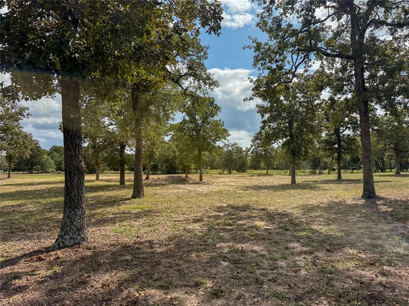 7700 County Road 3700, Athens TX 75752 - Photo 39