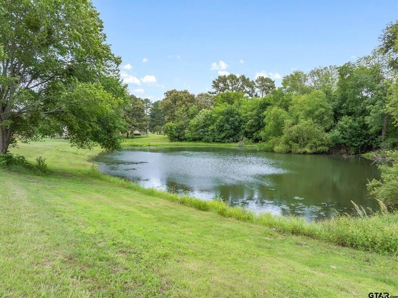 1203 N Spring Street, Grand Saline TX 75140 - Photo 15