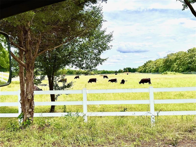 8690 E FM 922 Highway, Valley View TX 76272 - Photo 2