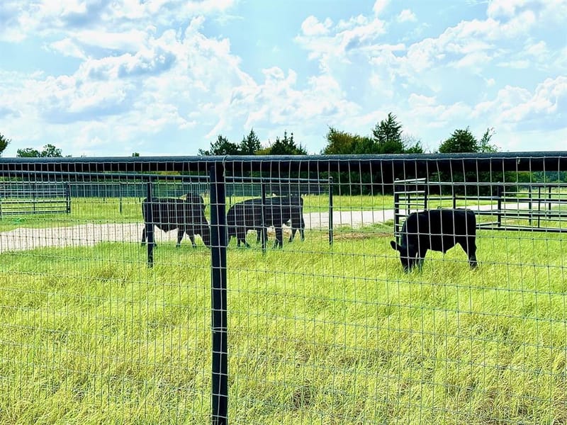 8690 E FM 922 Highway, Valley View TX 76272 - Photo 32