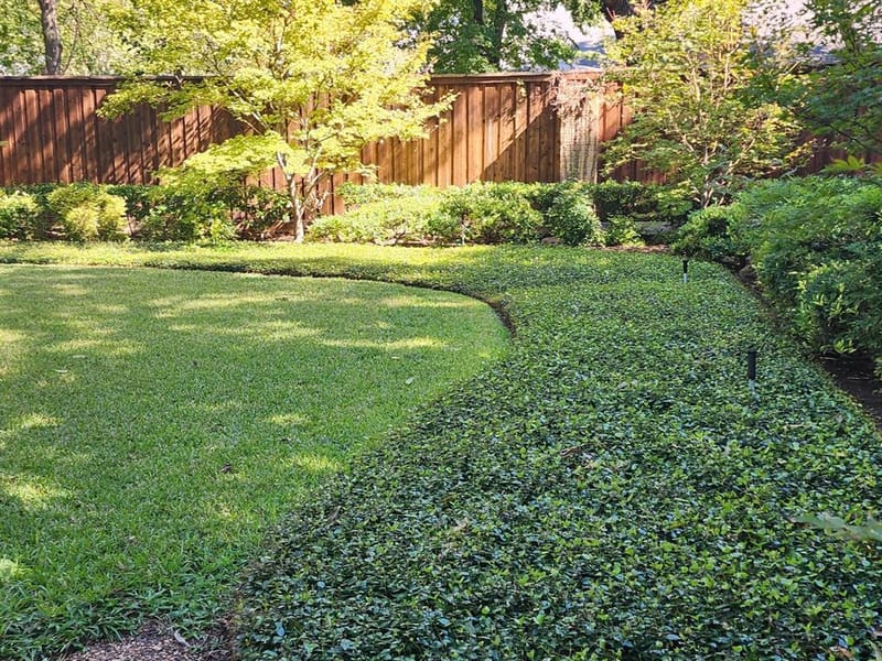 6510 Covecreek Place, Dallas TX 75240 - Photo 10