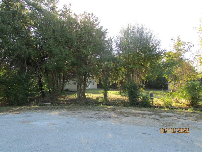 3812 Timberview Court, Joshua TX 76058 - Photo 2