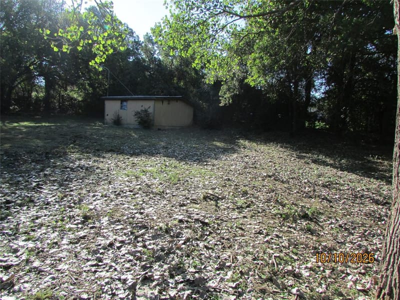 3812 Timberview Court, Joshua TX 76058 - Photo 9