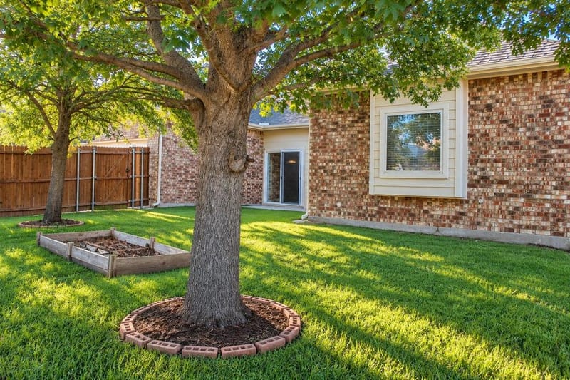 1731 Teakwood Drive, Wylie TX 75098 - Photo 9