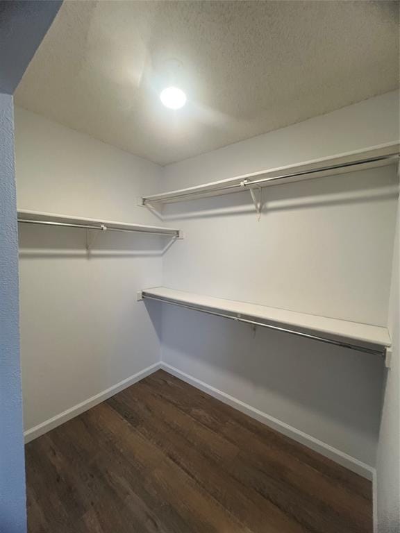 4125 Gardner Drive, The Colony TX 75056 - Photo 23