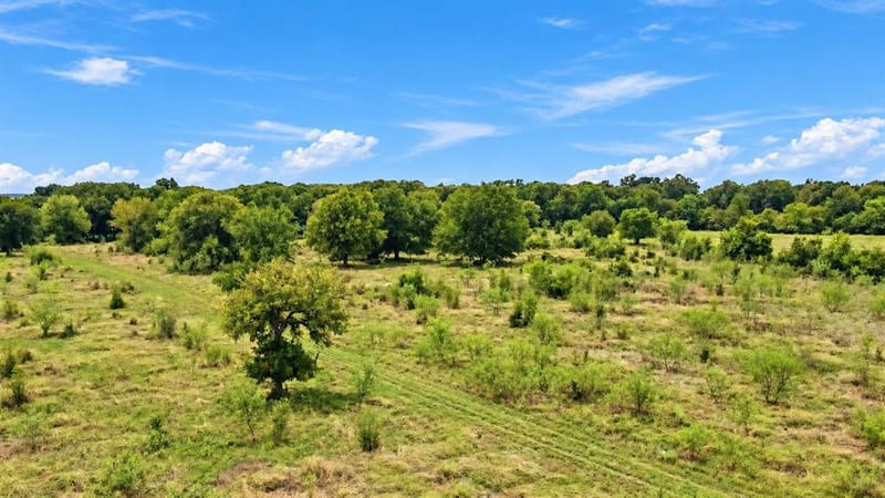 221 S Kinder Lane, Jacksboro TX 76458 - Photo 23