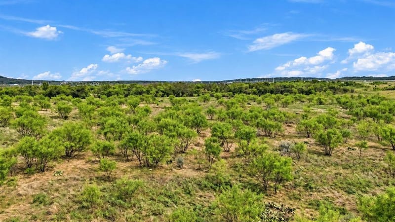 221 S Kinder Lane, Jacksboro TX 76458 - Photo 26