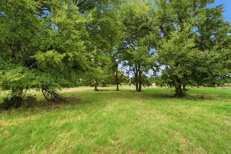 221 S Kinder Lane, Jacksboro TX 76458 - Photo 5