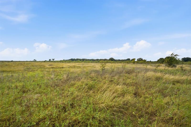 221 S Kinder Lane, Jacksboro TX 76458 - Photo 10