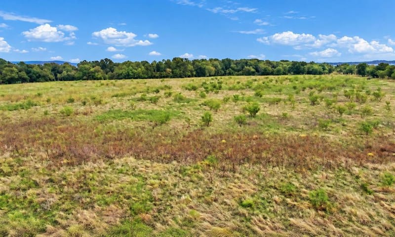 221 S Kinder Lane, Jacksboro TX 76458 - Photo 19