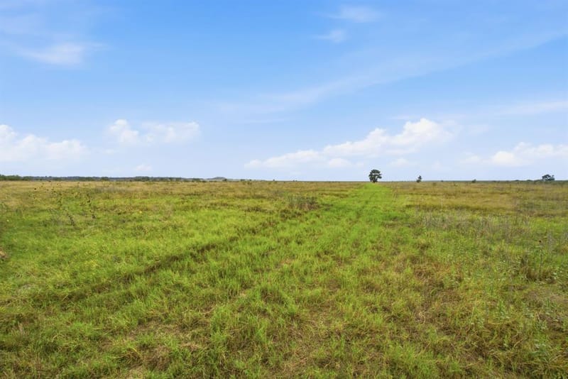 221 S Kinder Lane, Jacksboro TX 76458 - Photo 4