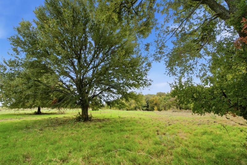 221 S Kinder Lane, Jacksboro TX 76458 - Photo 8