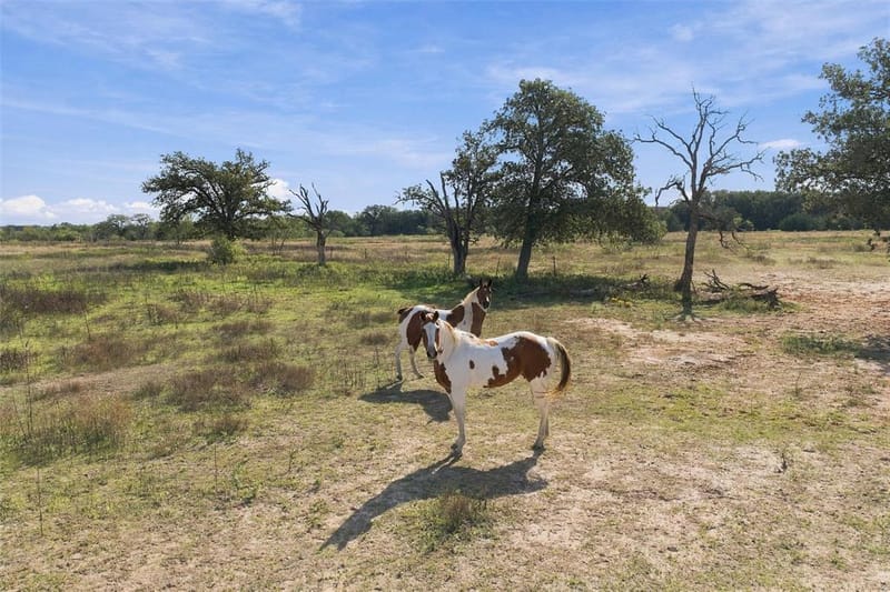 1654 Lincoln City Road, Elm Mott TX 76640 - Photo 6