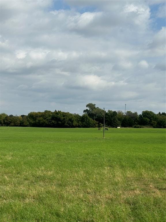 2409 Highway 81 N, Bowie TX 76230 - Photo 38