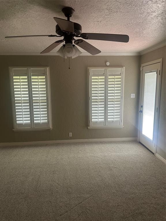 2409 Highway 81 N, Bowie TX 76230 - Photo 18