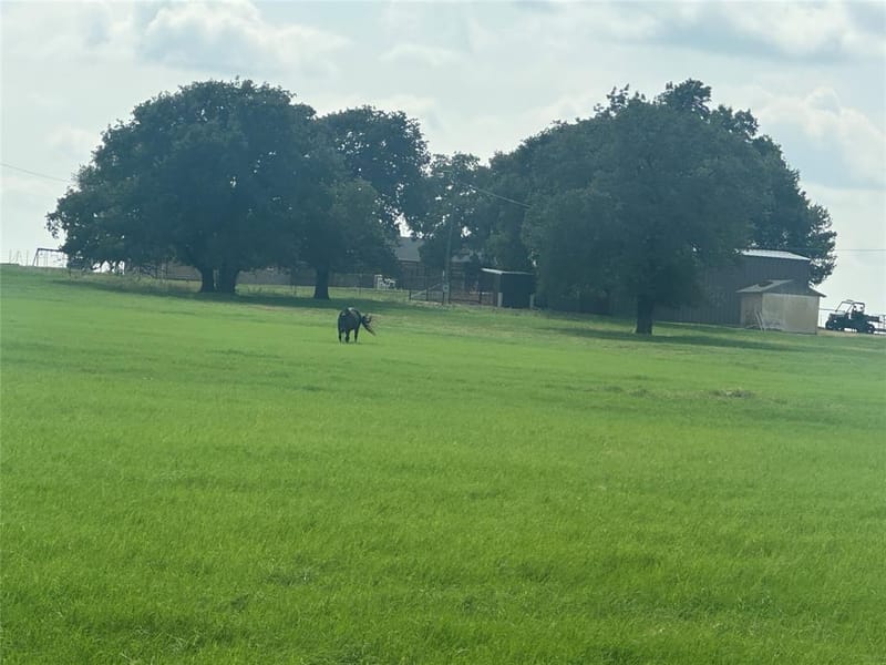 2409 Highway 81 N, Bowie TX 76230 - Photo 25