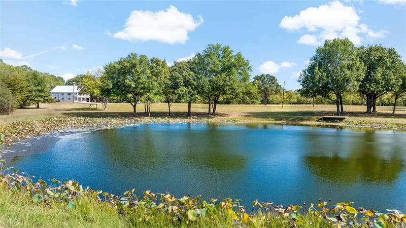 TBD COUNTY ROAD 42440, Paris TX 75462 - Photo 8